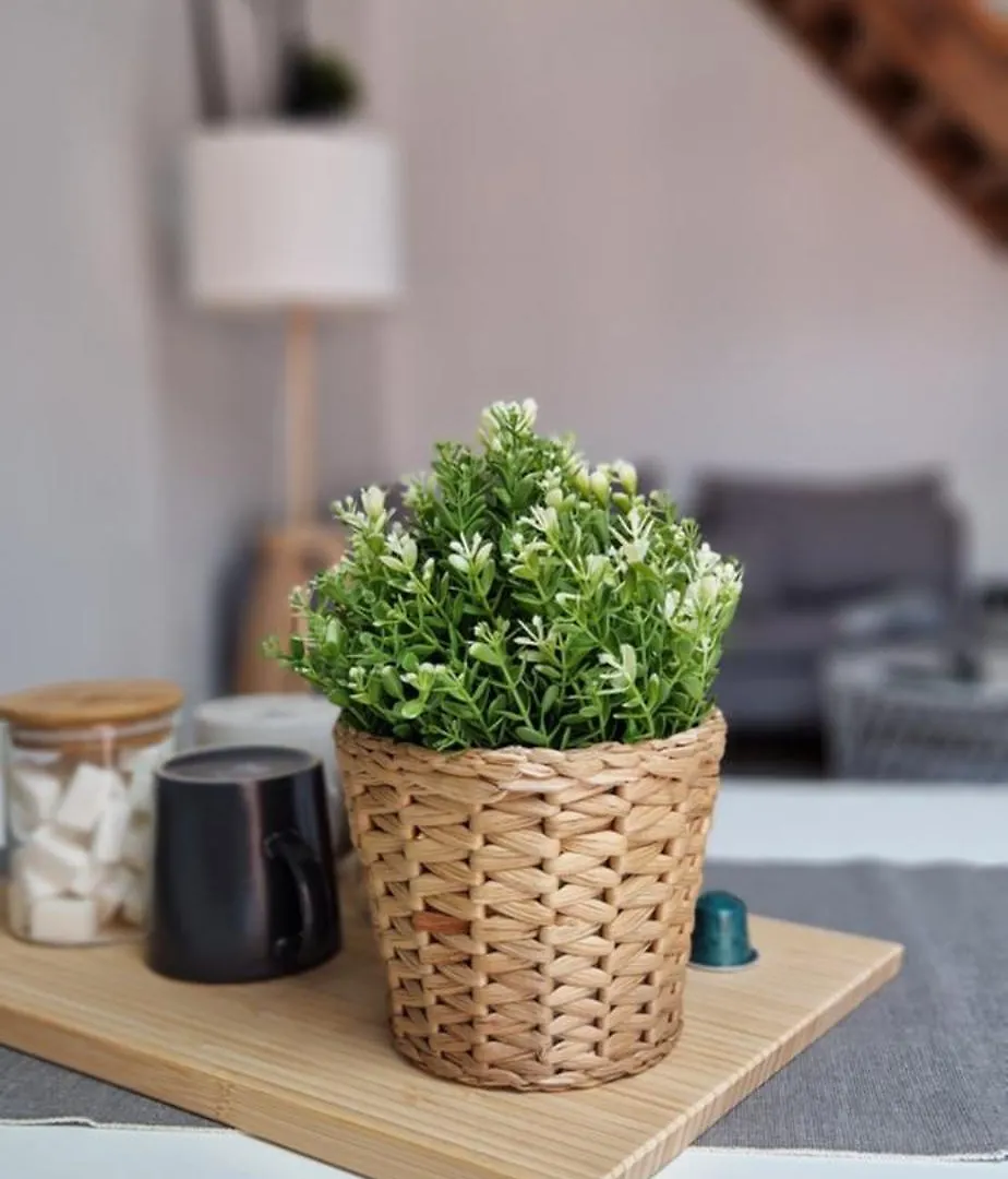 Charleroi Cozy Home Apartment
